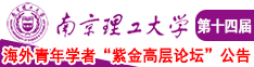 跟着a片一起爆操h南京理工大学第十四届海外青年学者紫金论坛诚邀海内外英才！